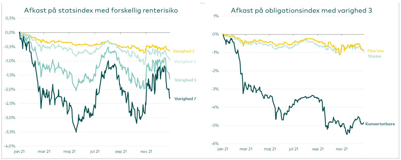 Afkast statsindex 2021